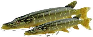 0001_Savage_Gear_3D_Line_Thru_Pike_Shad_30_cm_[Zinkend]_[Savage_Gear].jpg